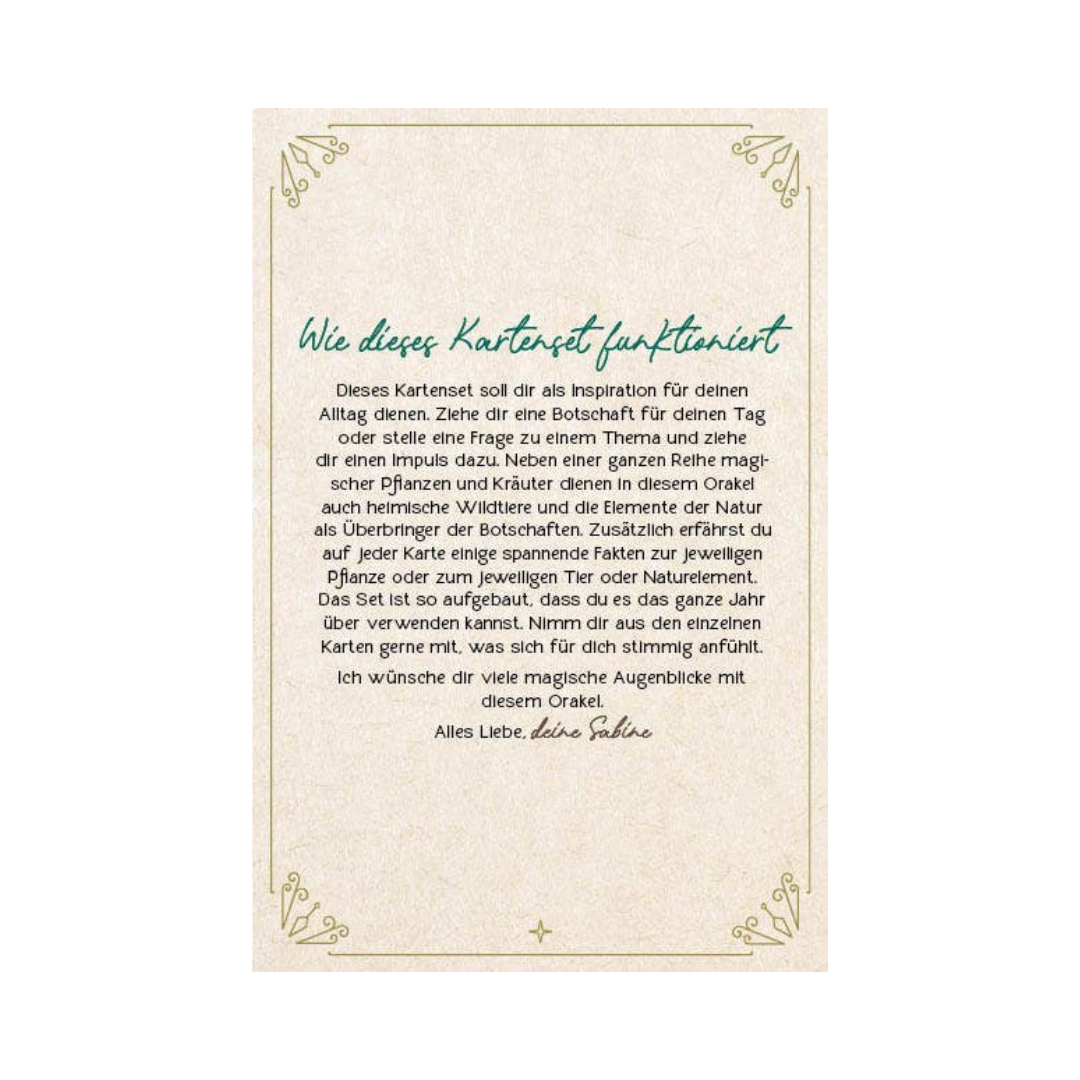 Orakel-Karten-Set - Naturmomente für deine Seele