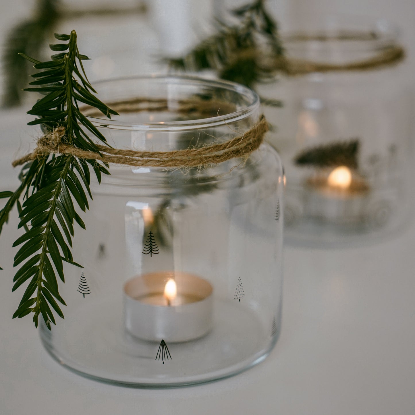 Windlicht • Vase • Bäume • M