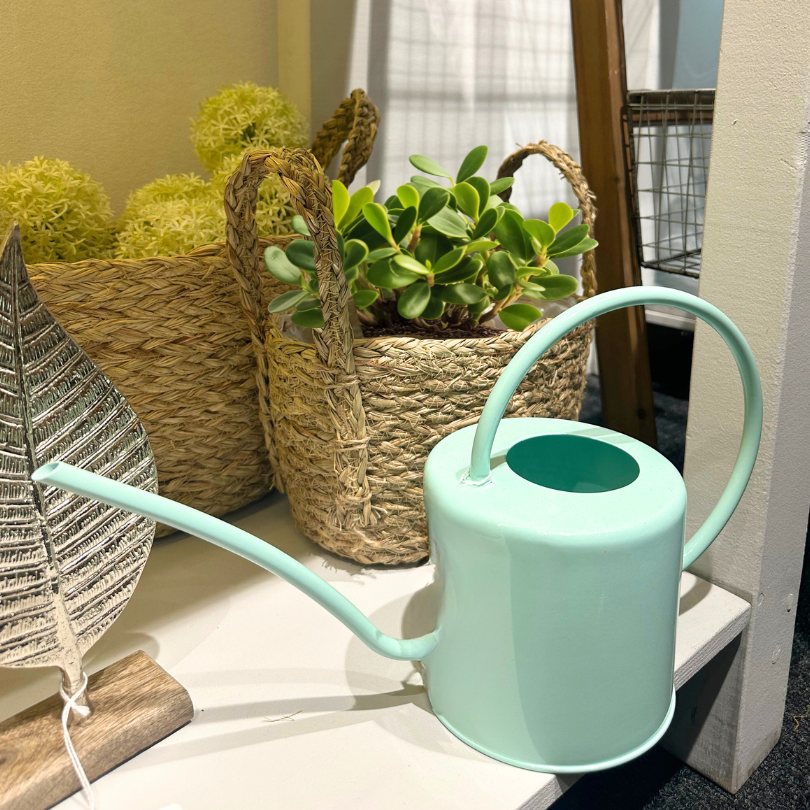 Gießkanne - 1,7L - mint