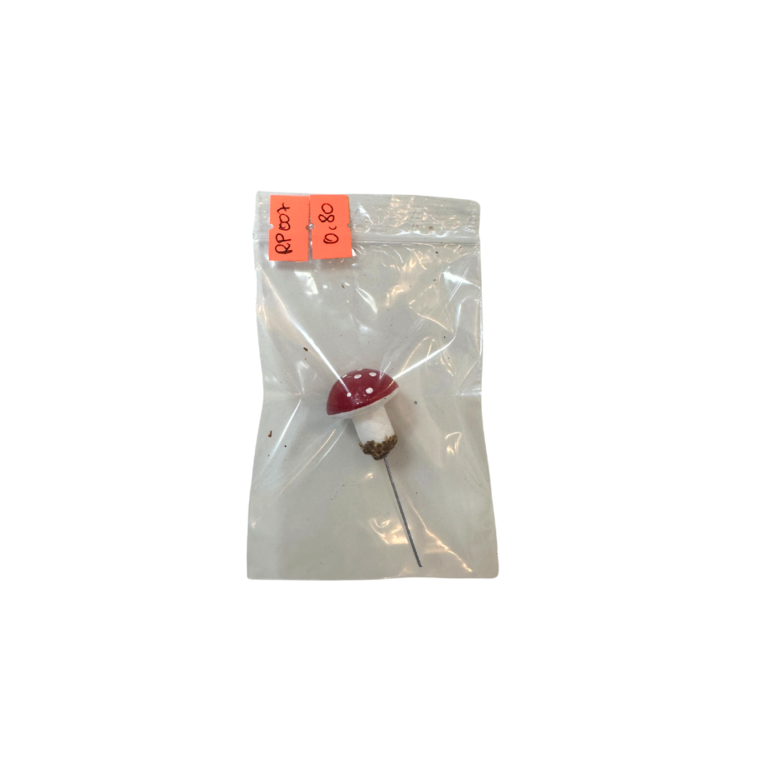 Mini Glückspilz - Stecker - RESTPOSTEN