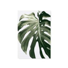 Postkarte - Monstera