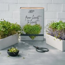 Homegrowing Microgreens - Starter Set - Sprossen