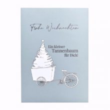 Blumensaat Geschenk - Fichten Saat - Kleiner Tannenbaum