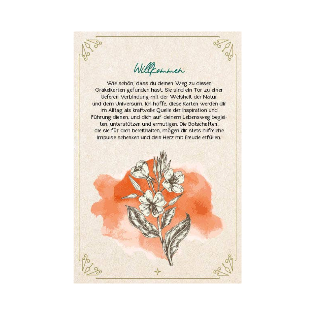 Orakel-Karten-Set - Naturmomente für deine Seele