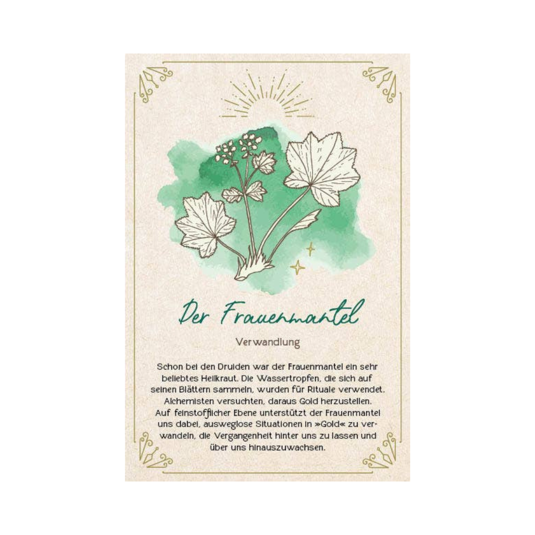 Orakel-Karten-Set - Naturmomente für deine Seele