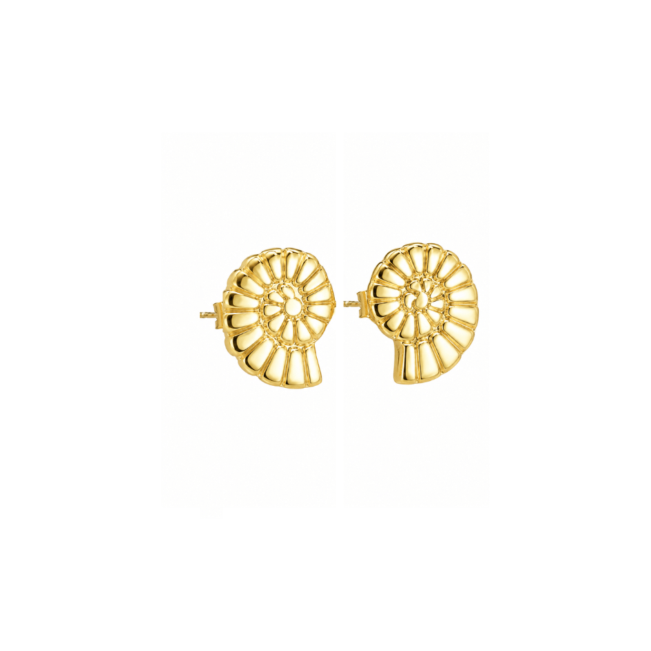 Ohrstecker - Edelstahl gold - Muschel