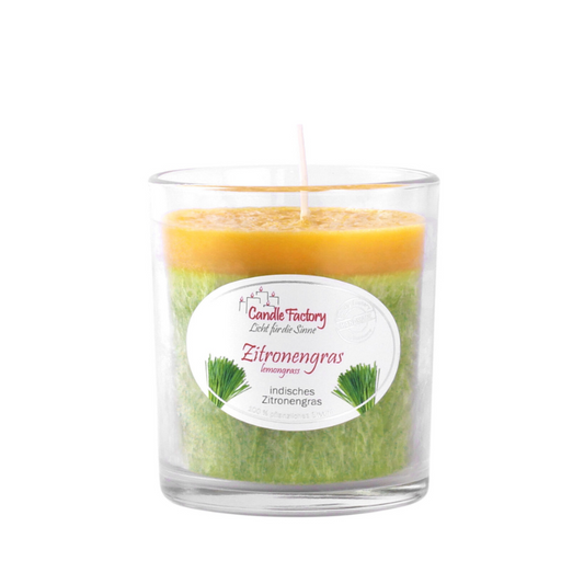 PartyLight • Zitronengras