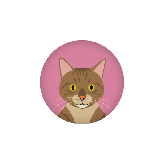 Magnet - Katze