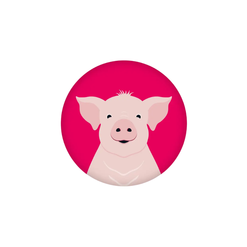 Magnet - Schwein Rosi