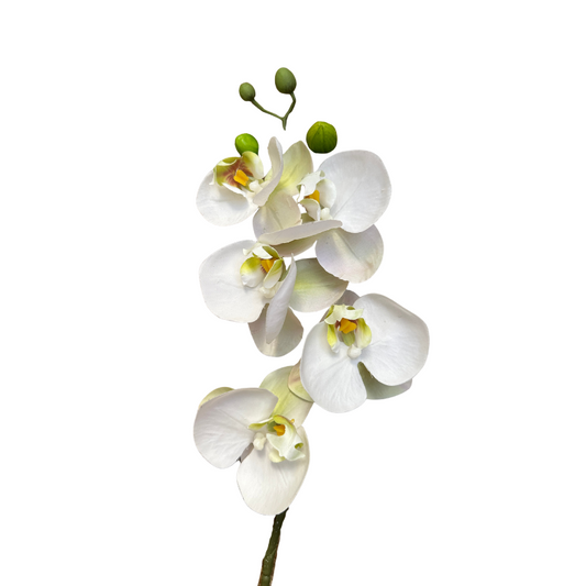 Kunstblume Orchidee - gewachst - weiss