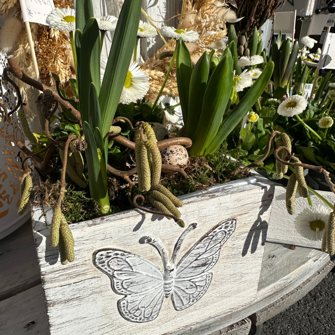 Pflanzkiste Holz - Schmetterling - Landhausstil S
