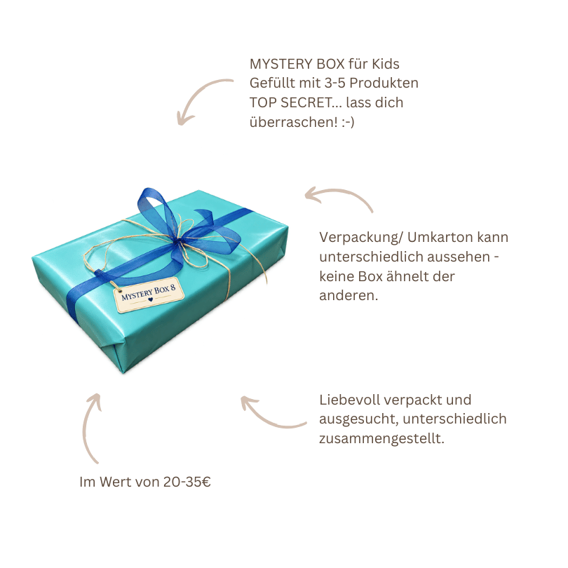 Mystery Box School Boys für Jungen von 6 bis 8 Jahren mit 3 bis 5 Überraschungen als Geschenk zur Einschulung, Schuleinführung oder zum Geburtstag.