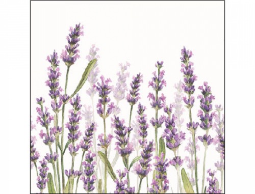 Papierserviette - klein - Lavender shades white - zum Schließen ins Bild klicken